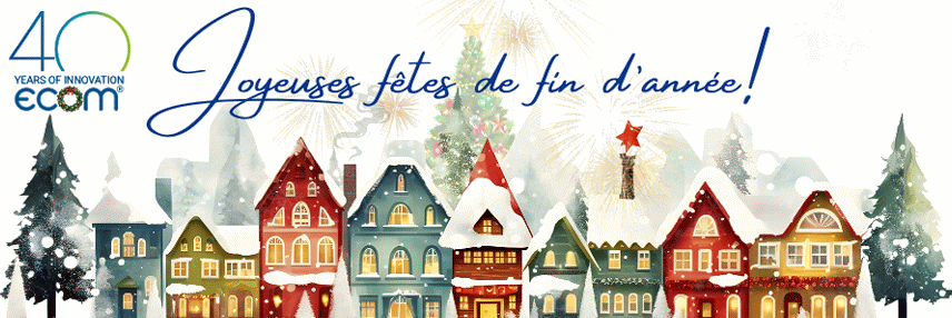 Joyeuses f&ecirc;tes de fin d'ann&eacute;e !